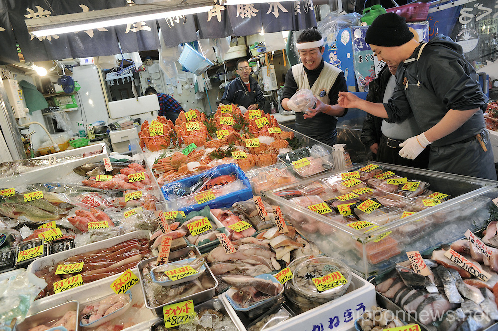 Feature - Tsukiji Fish Market