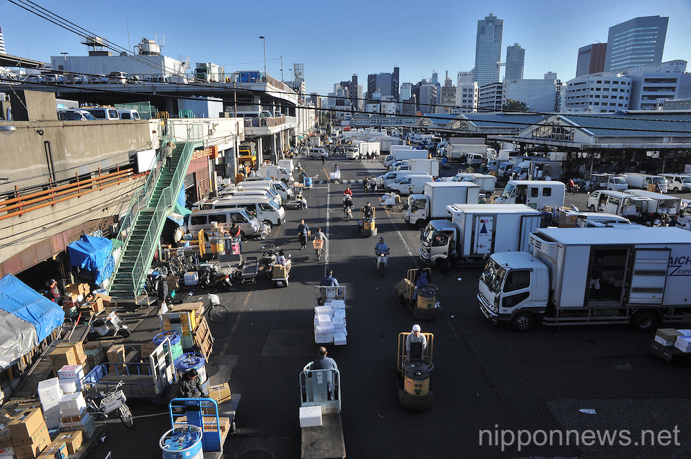 Feature - Tsukiji Fish Market