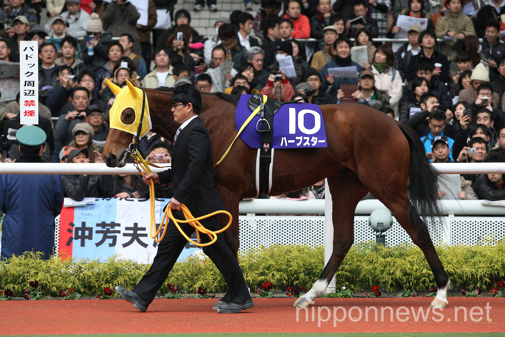 Horse racing: Hanshin Juvenile Fillies