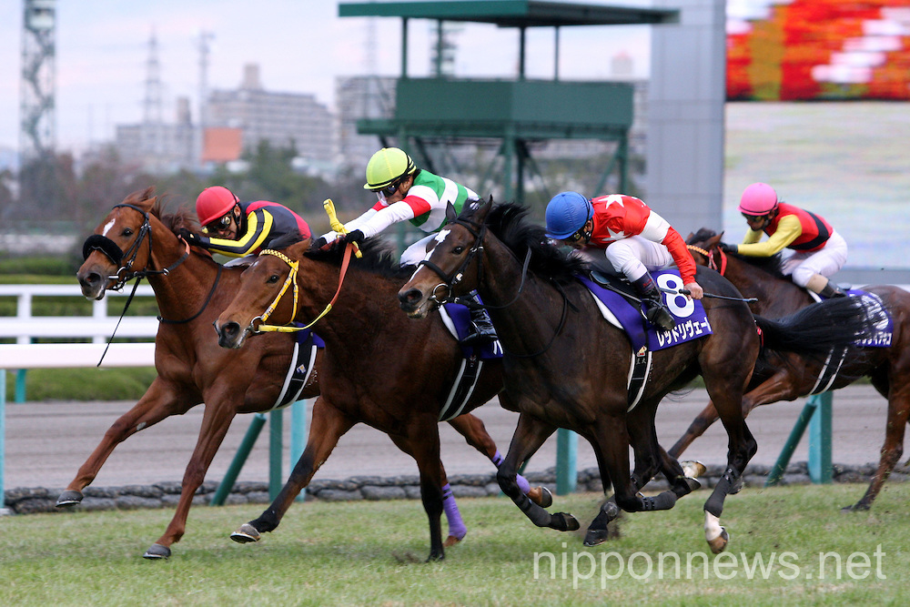 Horse racing: Hanshin Juvenile Fillies