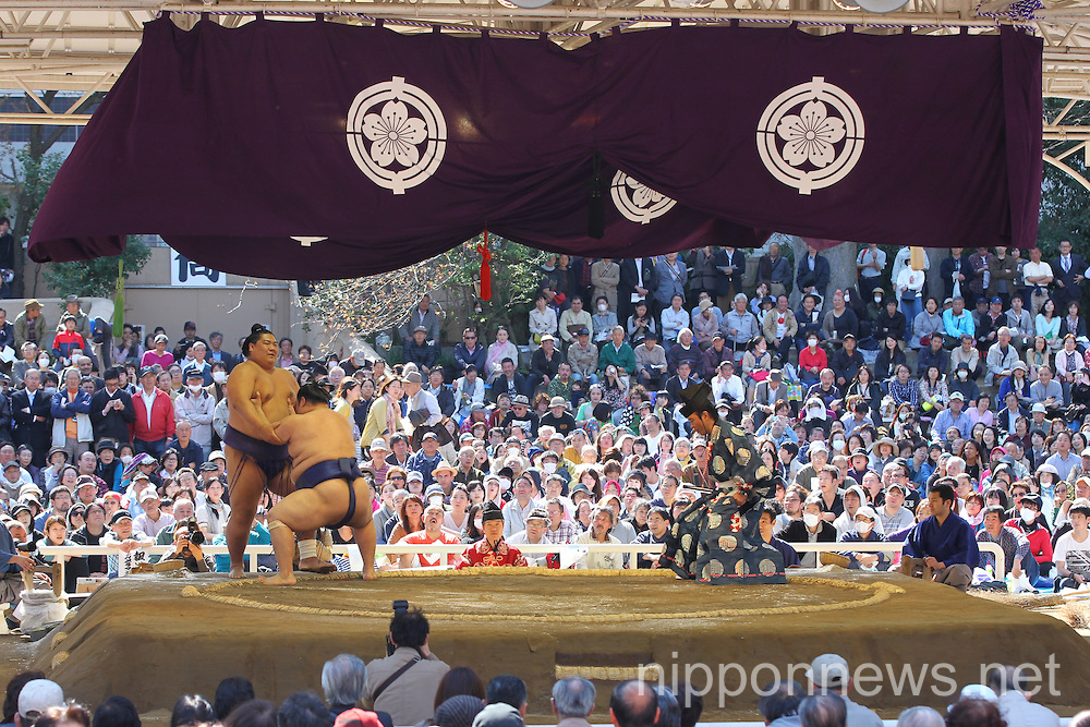 Sumo Wrestling at Yasukuni Shrine