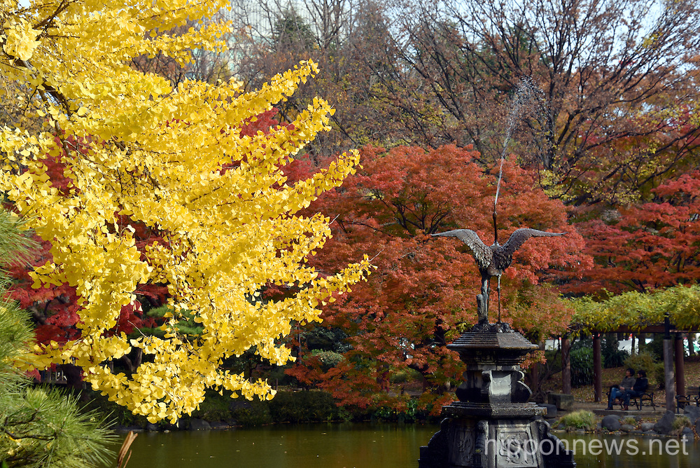 Autumn leaves at Tokyo's Hibiya Park