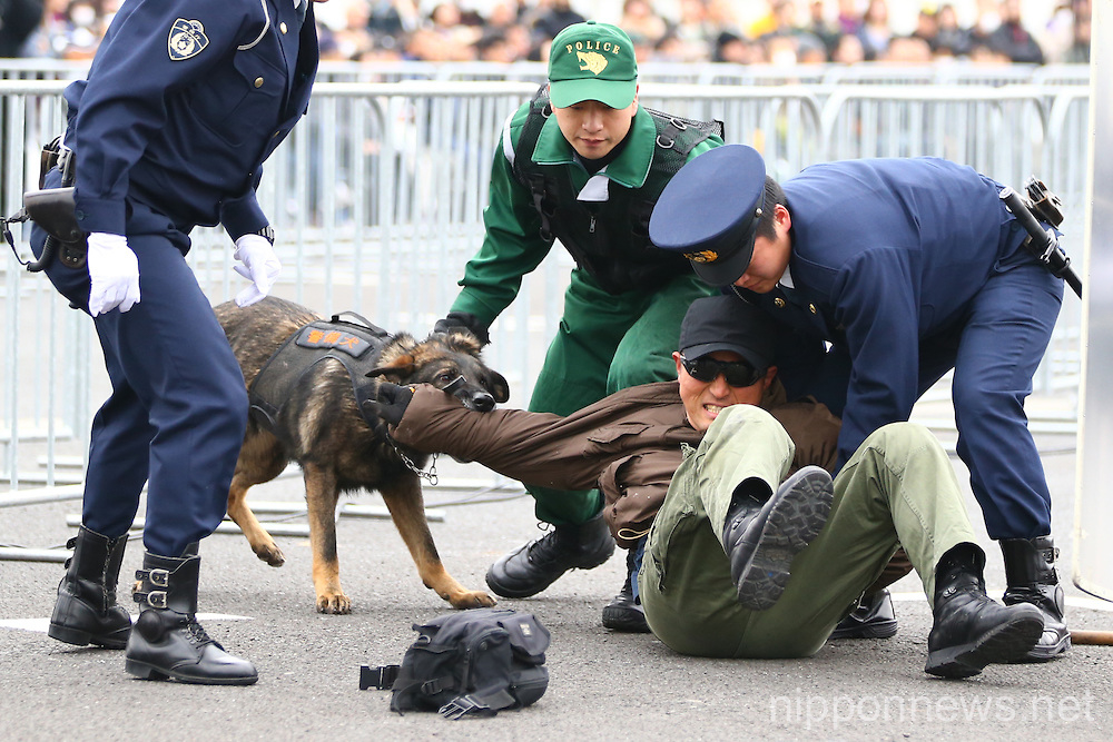 Tokyo Marathon 2016 Showcases Counter Terrorism Measures