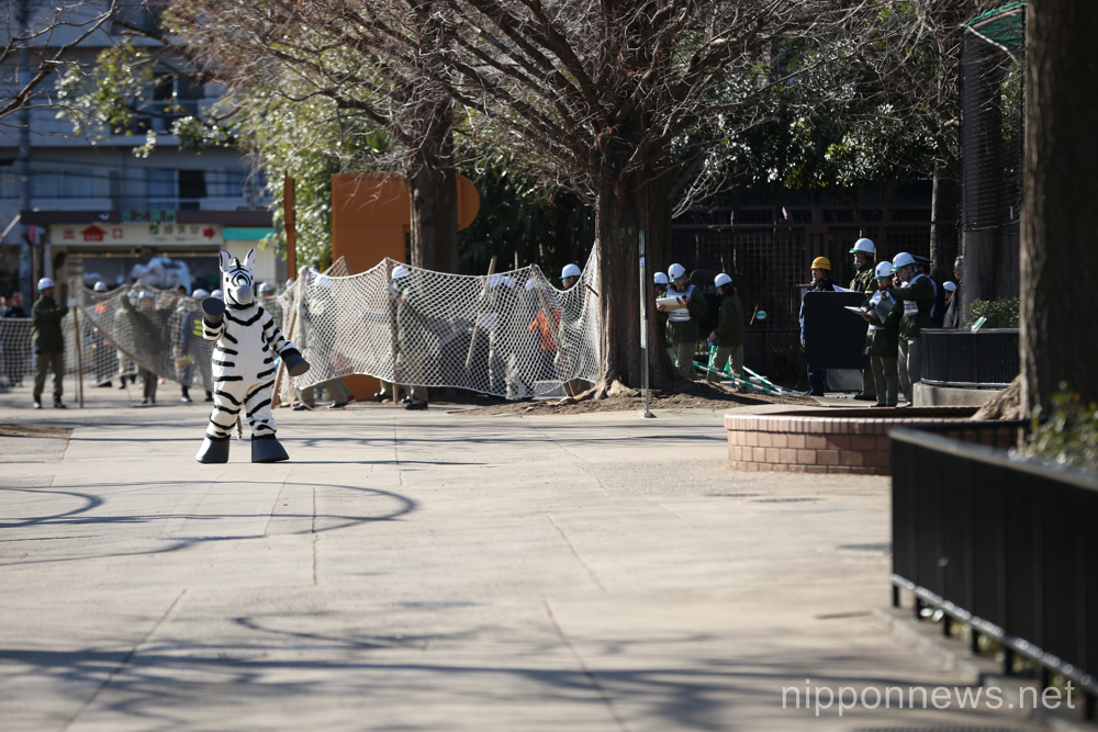 Zebra Zoo escape drill