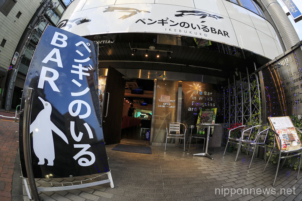 Penguin Bar in Tokyo