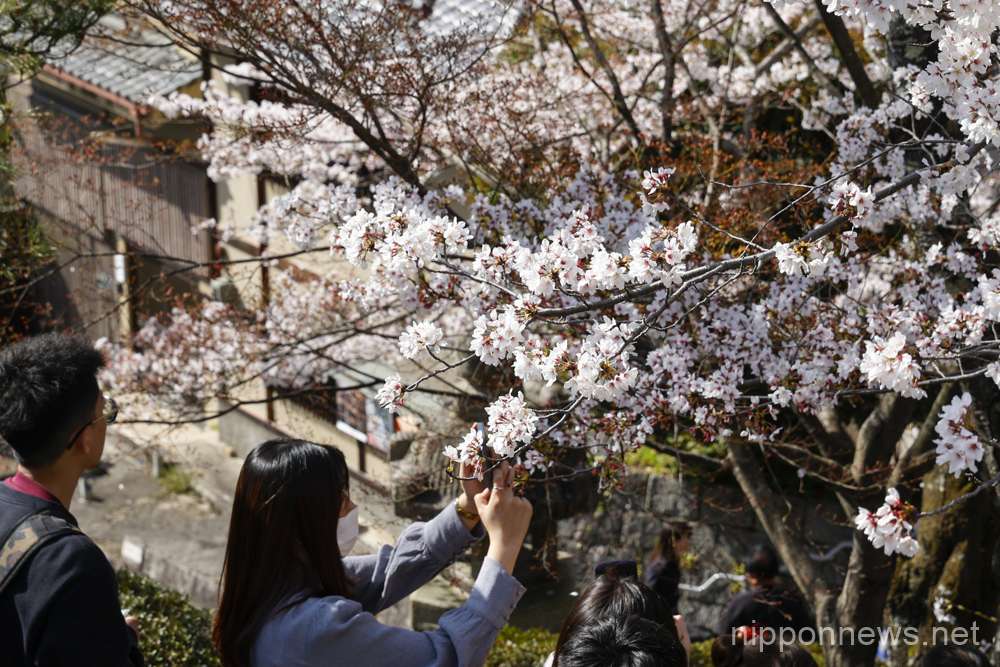 People wearing traditional Japanese kimono take pictures of the cherry blossoms in full bloom at Kiyomizu Temple on March 29, 2023, in Kyoto, Japan. The cherry blossom season started officially on March 24 in Kyoto, six days earlies thank usual. (Photo by Rodrigo Reyes Marin/AFLO)