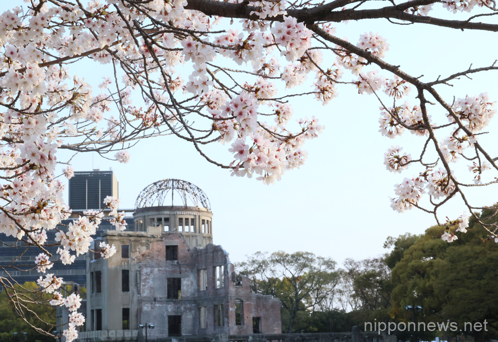 March 30, 2023, Hiroshima, Japan - World's Heritage A-bomb Dome is seen behind fully bloomed cherry blossoms at the Peace Memorial Park in Hiroshima, western Japan on Thursday, March 30, 2023. (photo by Yoshio Tsunoda/AFLO)